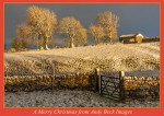 Andy Beck Images Christmas