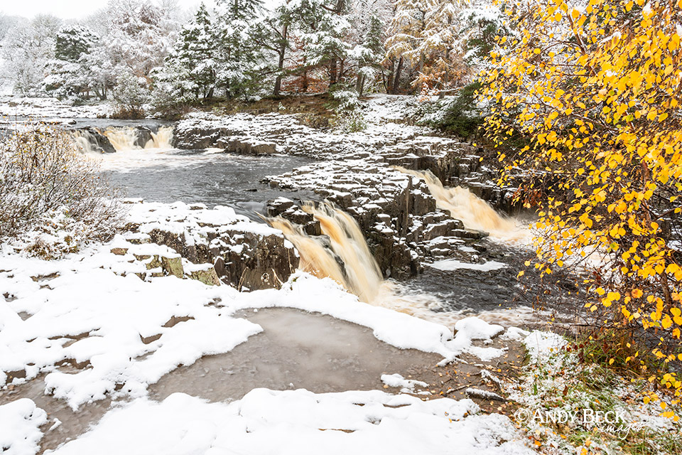 Low Force in snow