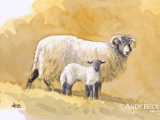 Ewe and Lamb