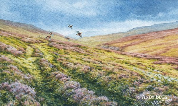 Red Grouse in Swaledale original watercolour painting