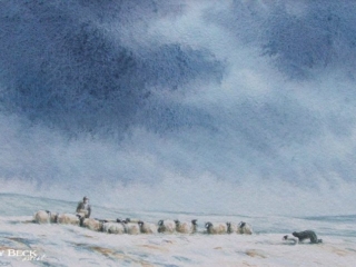 Winter feeding sketch