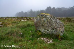 Knipescar Common erratic