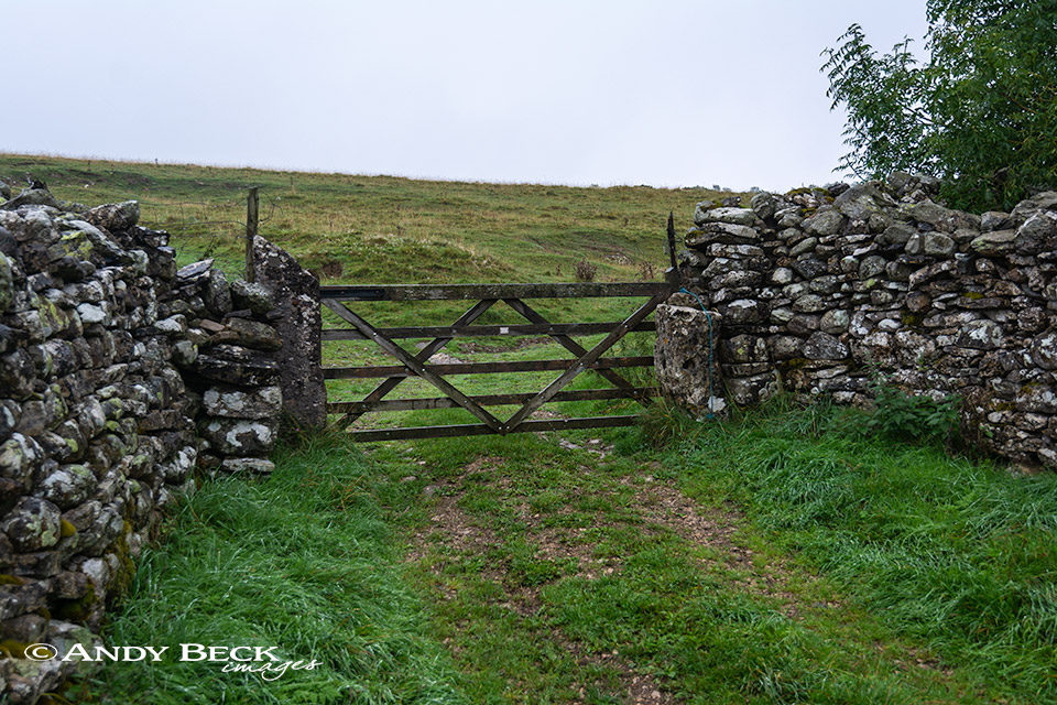 Approach to Knipescar Common