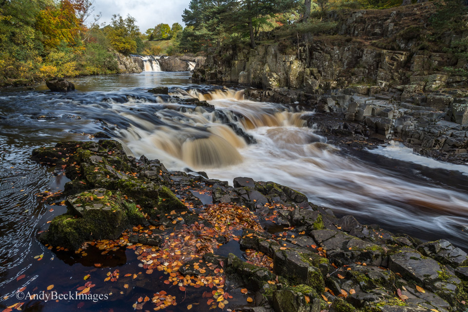 Autumn at Low Force