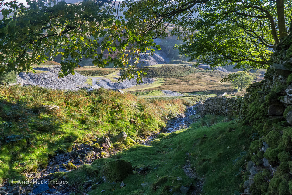 The path that leads up to Rainsbarrow crag from the cottage