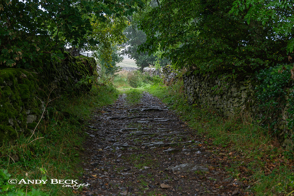 Scarside lane Knipescar Common