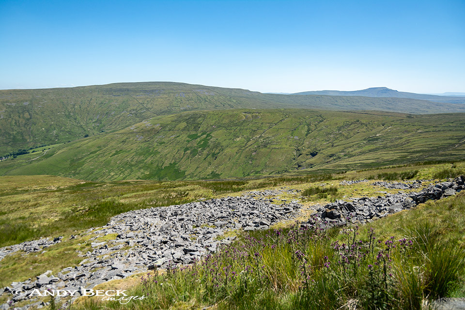 Whernside and Ingleborough from Great Coum