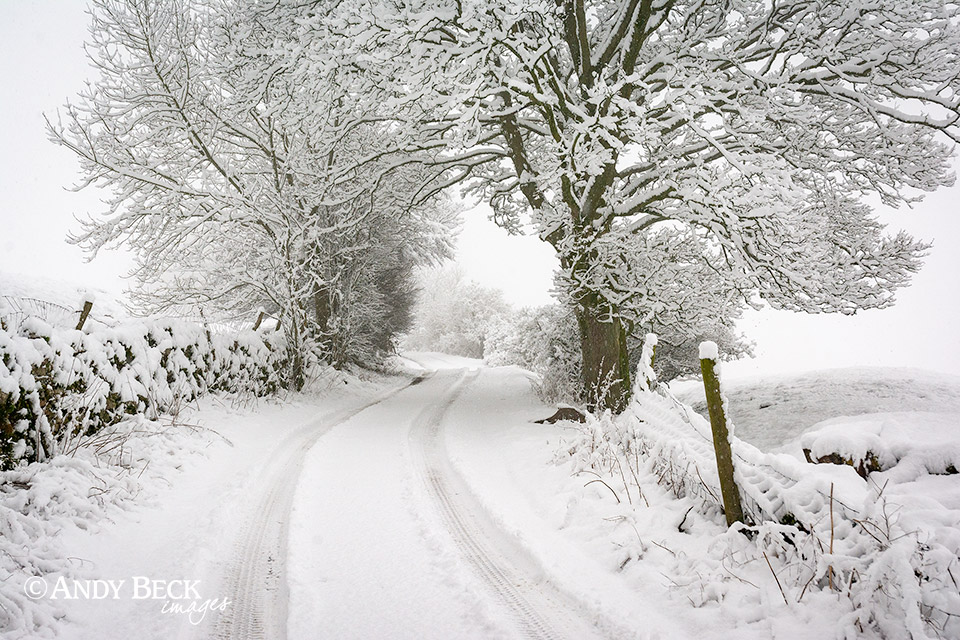 Winter cloak of snow on the Sleightholme road