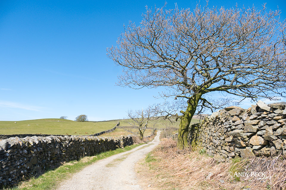 Lakeland lane near Grassgarth