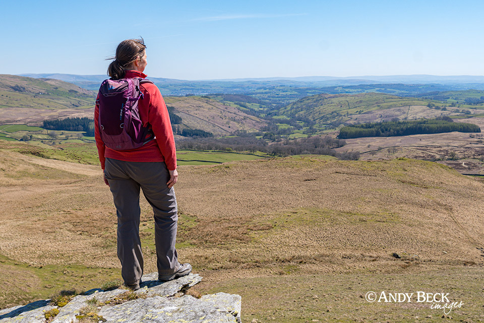 The view from Long Crag, Sallows