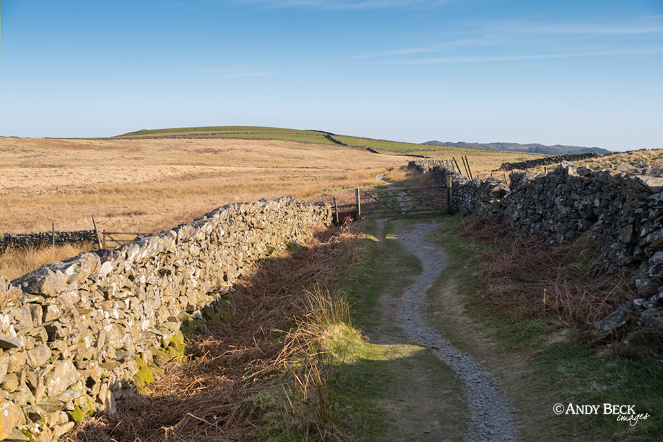 Mickle Moss looking south