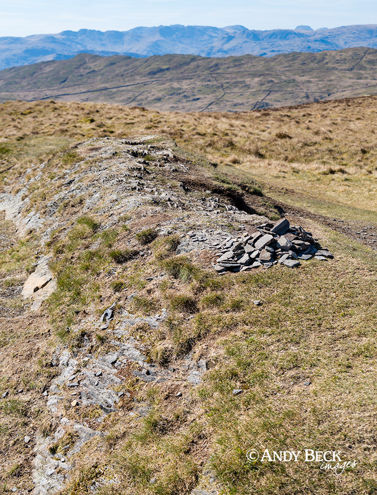 Sallows summit