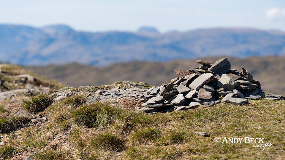 Sallows summit