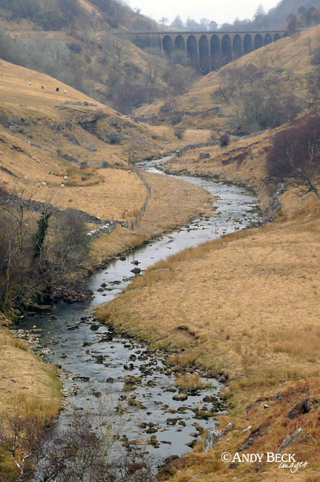 Smardale Gill