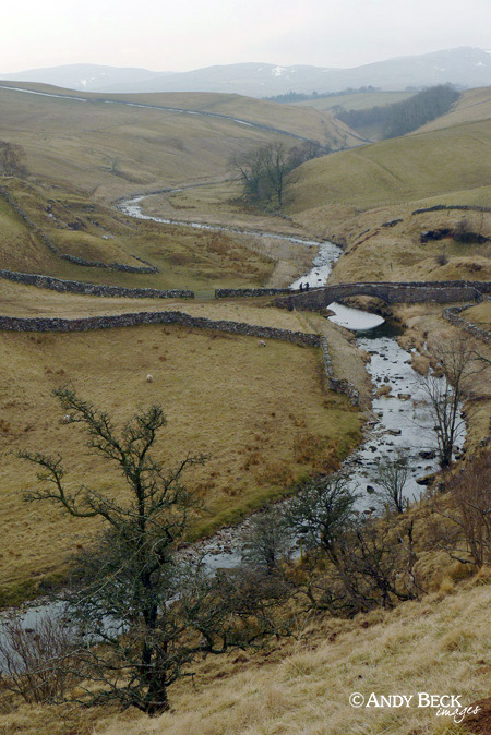 Smardale gill and bridge