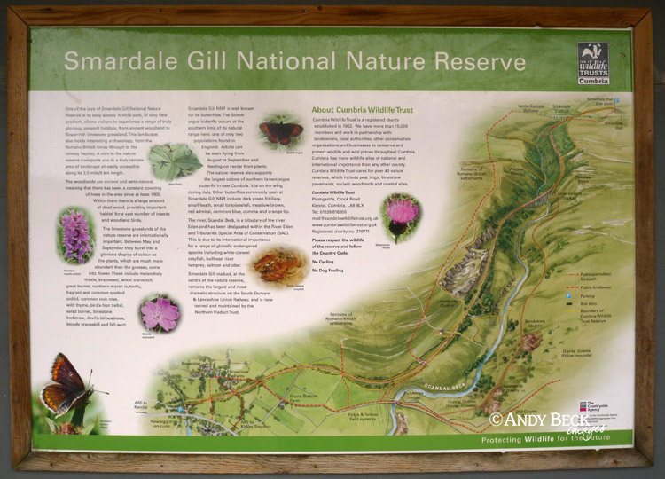 Smardale nature reserve