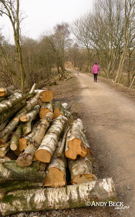 Smardale railway walk