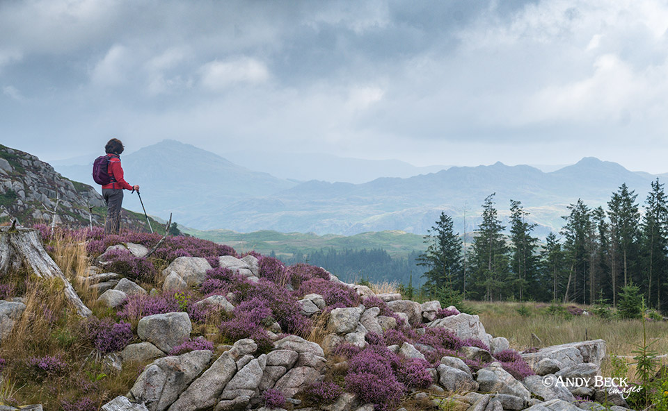 Harter Fell from Irton Pike