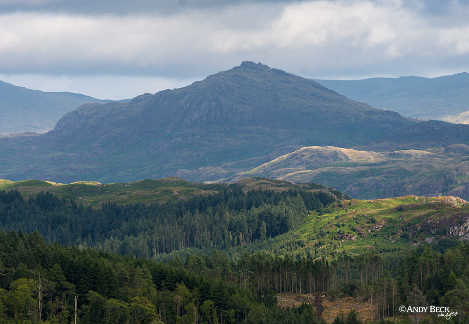 Harter Fell from Irton Pike