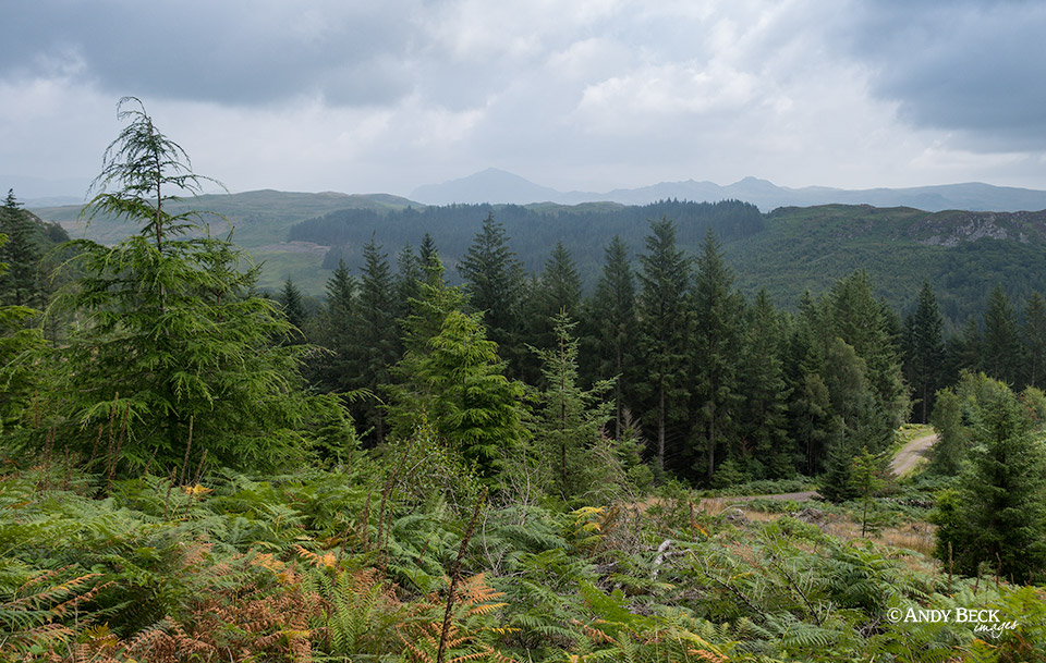 Miterdale and Harter Fell