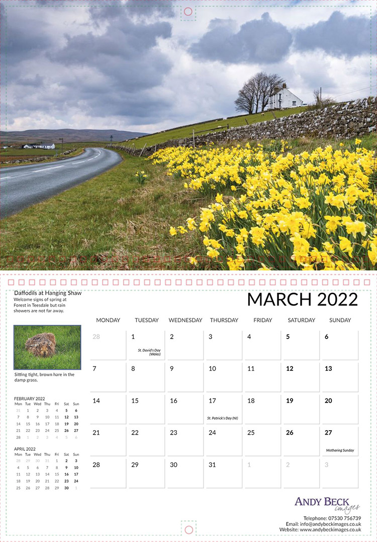 Teesdale 2022 March