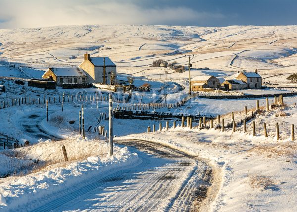 Winter at Harwood