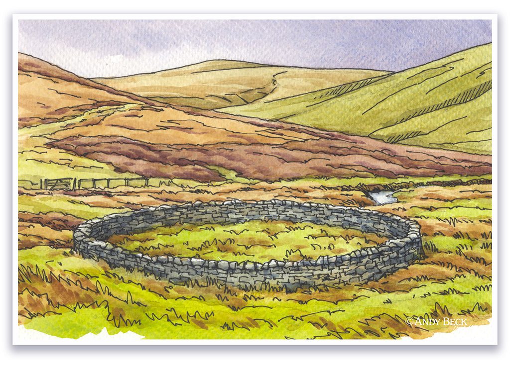 Wiley Gill Sheepfold, Great Calva sheepfold, Northern Fells, Wainwright Great Calva Andy Beck painting the wainwrights series
