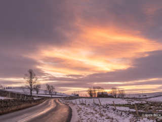 Forest in Teesdale sunrise Forest in Teesdale sunrise