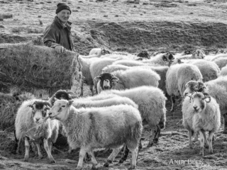 Hill farmer Hill farmer