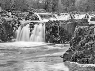 Low Force Low Force