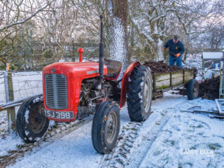 Massey Ferguson Massey Ferguson