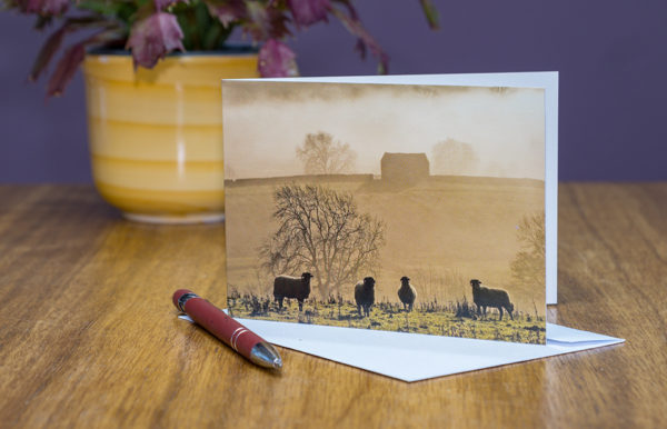 Mellow Mists greeting card