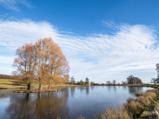 Raby Castle High Pond Raby Castle High Pond