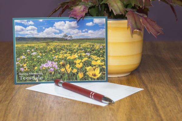 Spring meadows Teesdale postcard
