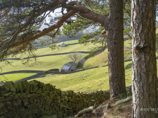 View from Kirkcarrion View from Kirkcarrion