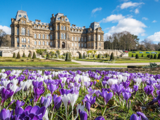 Bowes Museum spring, Barnard Castle, Teesdale
