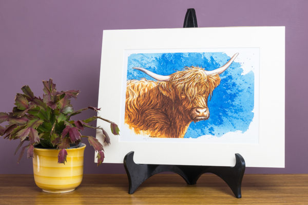 Highland cow print, open edition print of a highland cow by Andy Beck