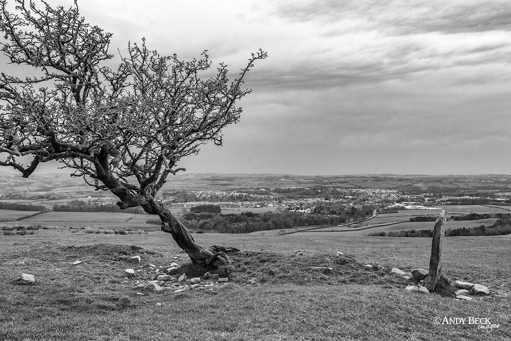 Cockermouth from Watch Hill, Wainwright Outlying fell, Setmurthy Common