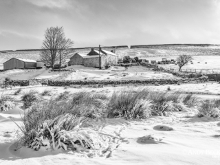 Snow at East Underhurth farm, Forest in Teesdale County Durham