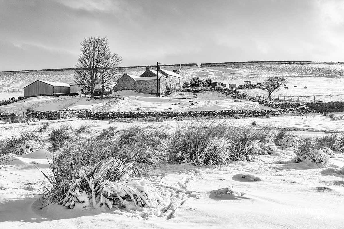 Snow at East Underhurth farm, Forest in Teesdale County Durham