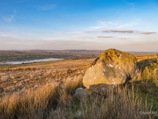 An erratic boulder on Goldsborough in the evening sunshine. Teesdale
