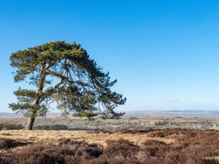 A view to Bowes village from Green Fell, Teesdale