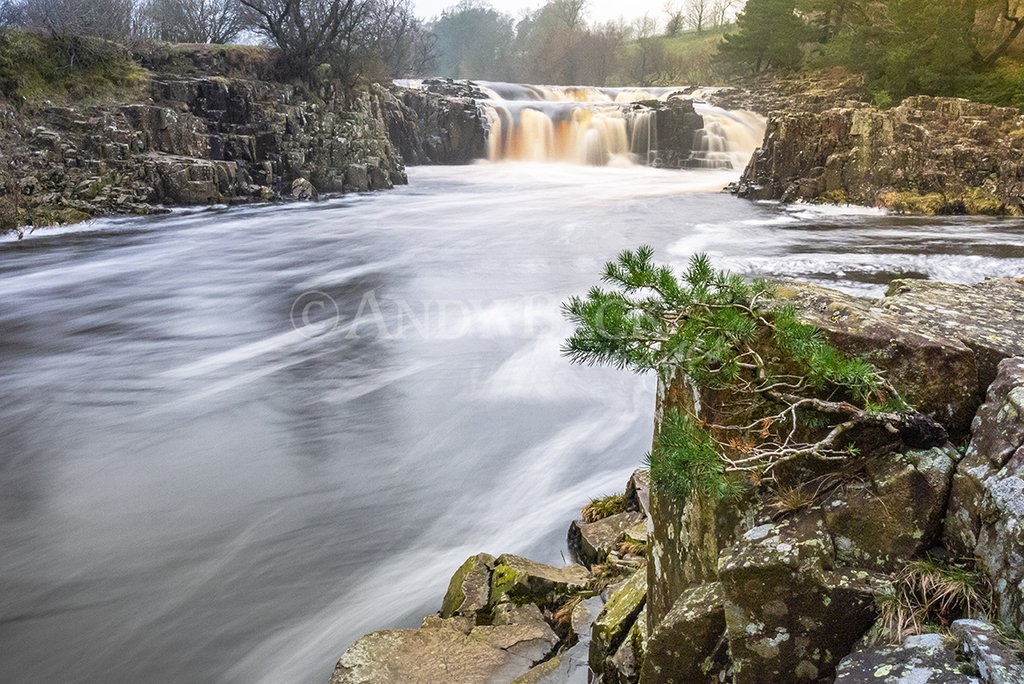 Low Force in the mist, the river Tees County Durham