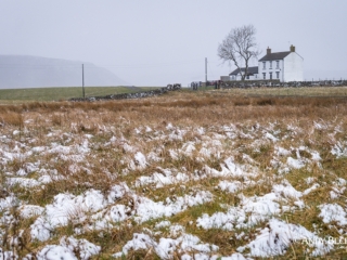 New House, Forest in Teesdale, County Durham