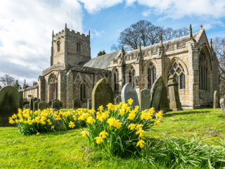 Romaldkirk Church at springtime, daffodils bloom in the churchyard. Teesdale church