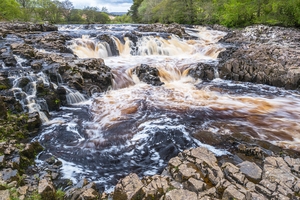 Salmon Leap Falls near Low Force on the river Tees Teesdale