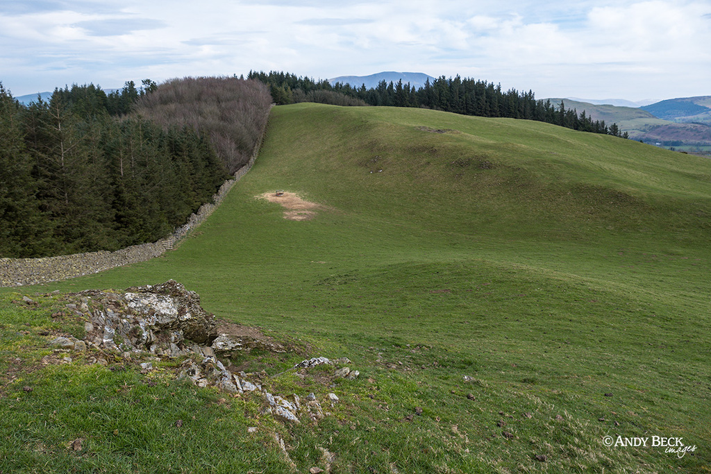 Setmurthy Common, Setmurthy Plantation, Watch Hill, Outlying Fell, Wainwright