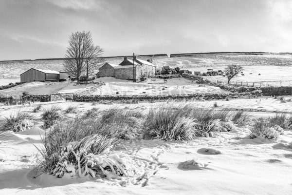 Snow at Forest in Teesdale, Black and white Teesdale photograph , remote farmhouse in snow