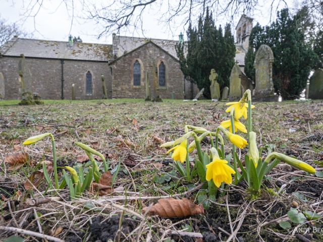 St Giles Church Bowes at Spring