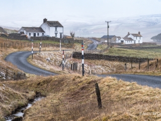 Unthank Harwood, Upper Teesdale
